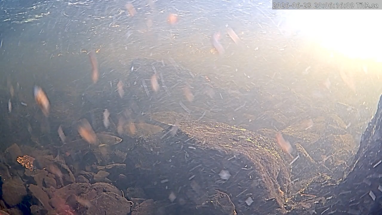 Video 2026-06-28 20:06