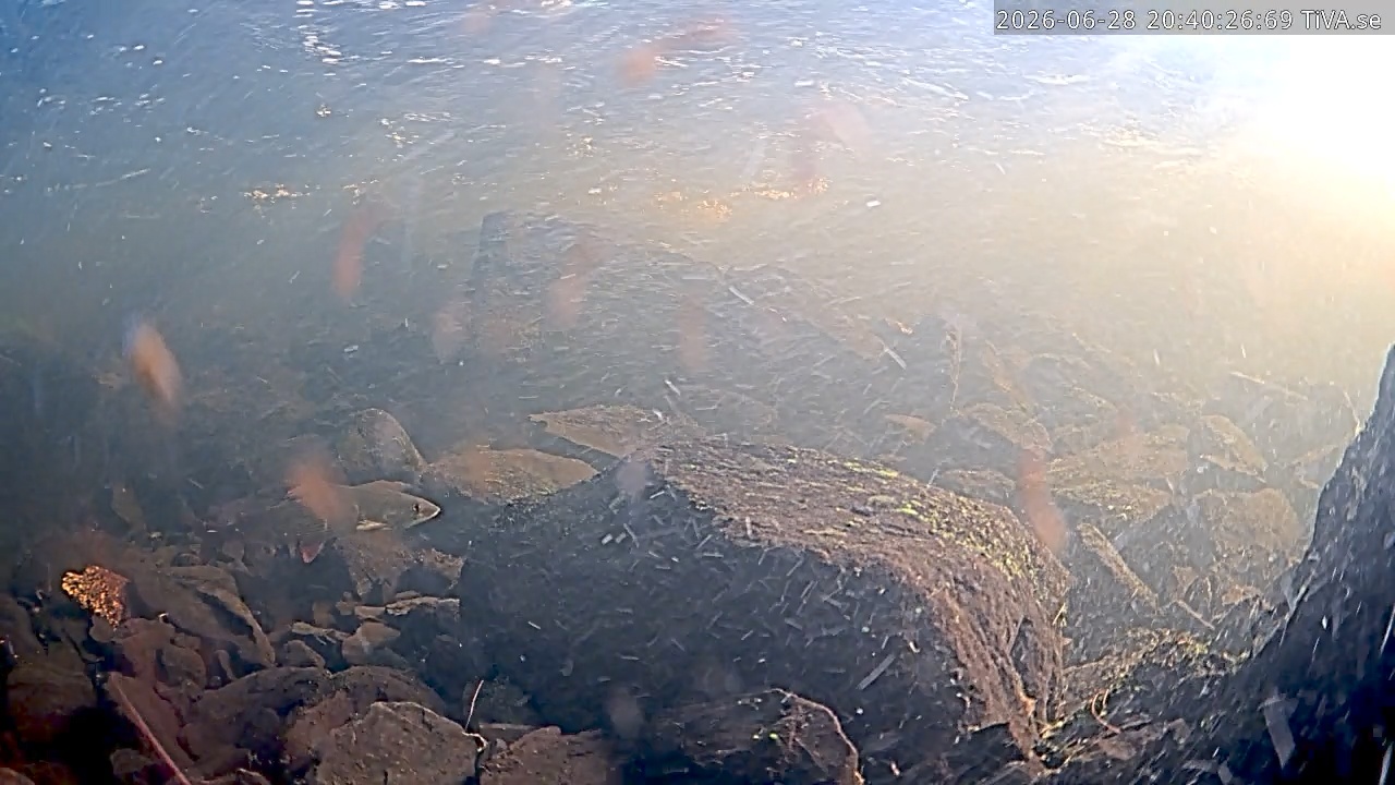 Video 2026-06-28 20:40