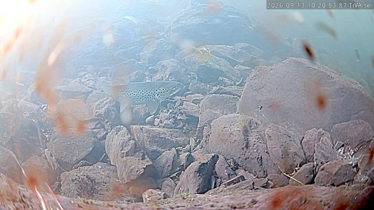 Video 2026-09-13 10:21