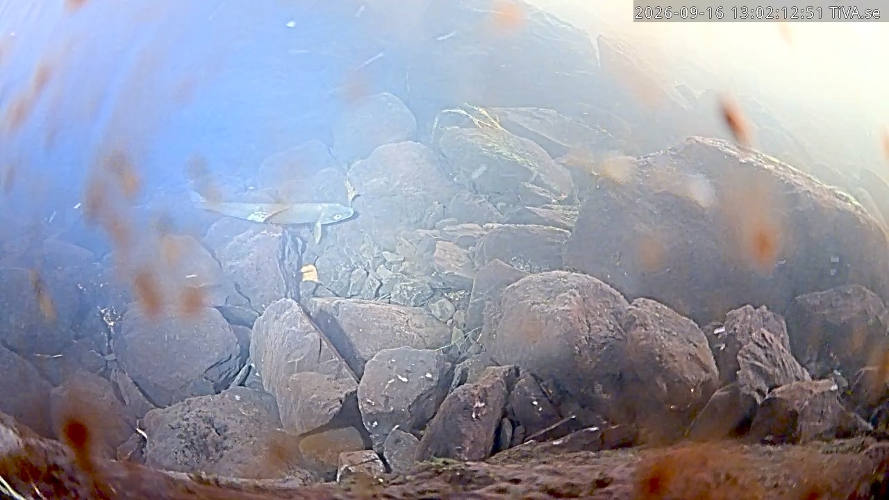 Video 2026-09-16 13:02