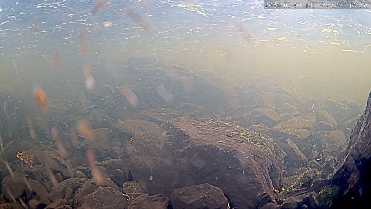 Video 2026-07-01 14:15