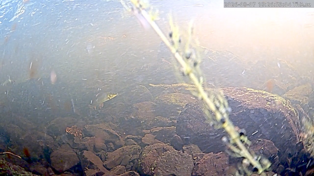 Video 2026-08-07 18:26