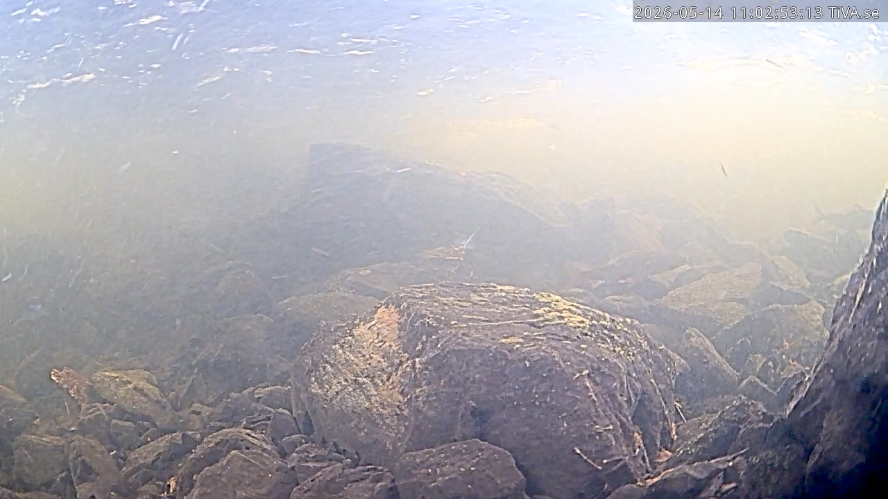 Video 2026-05-14 11:02