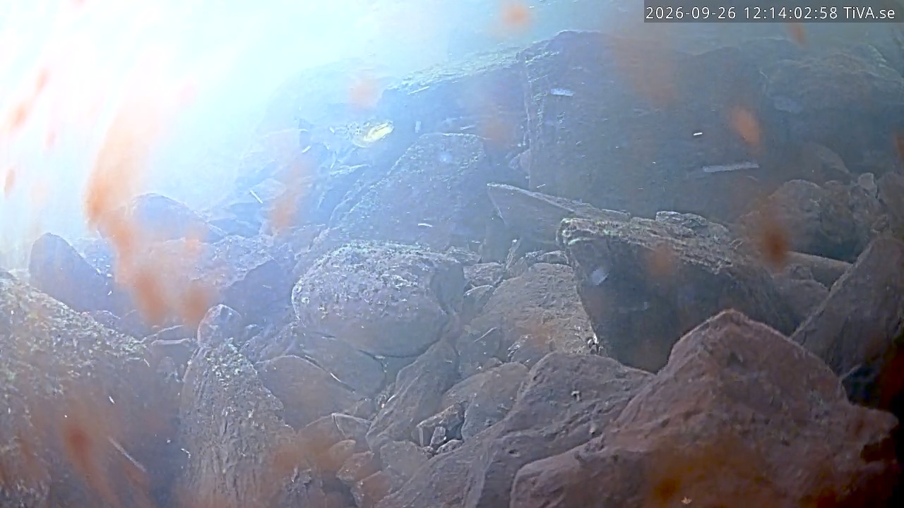 Video 2026-09-26 12:14