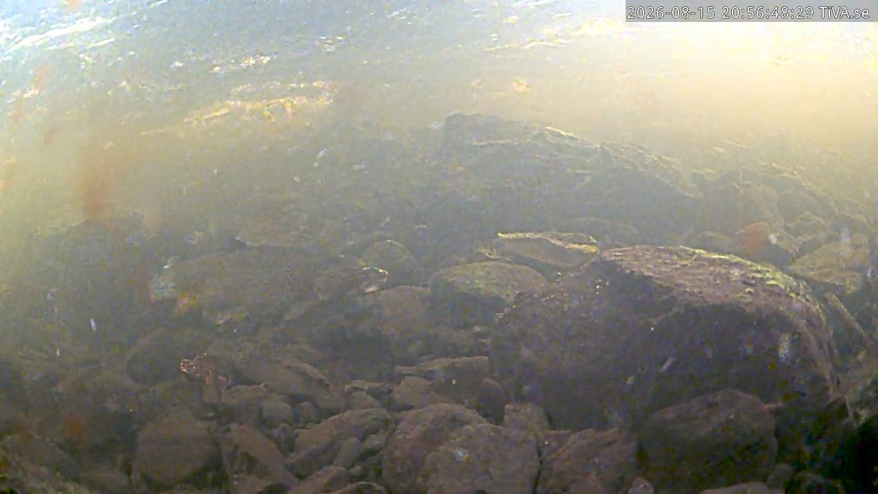 Video 2026-08-15 20:57