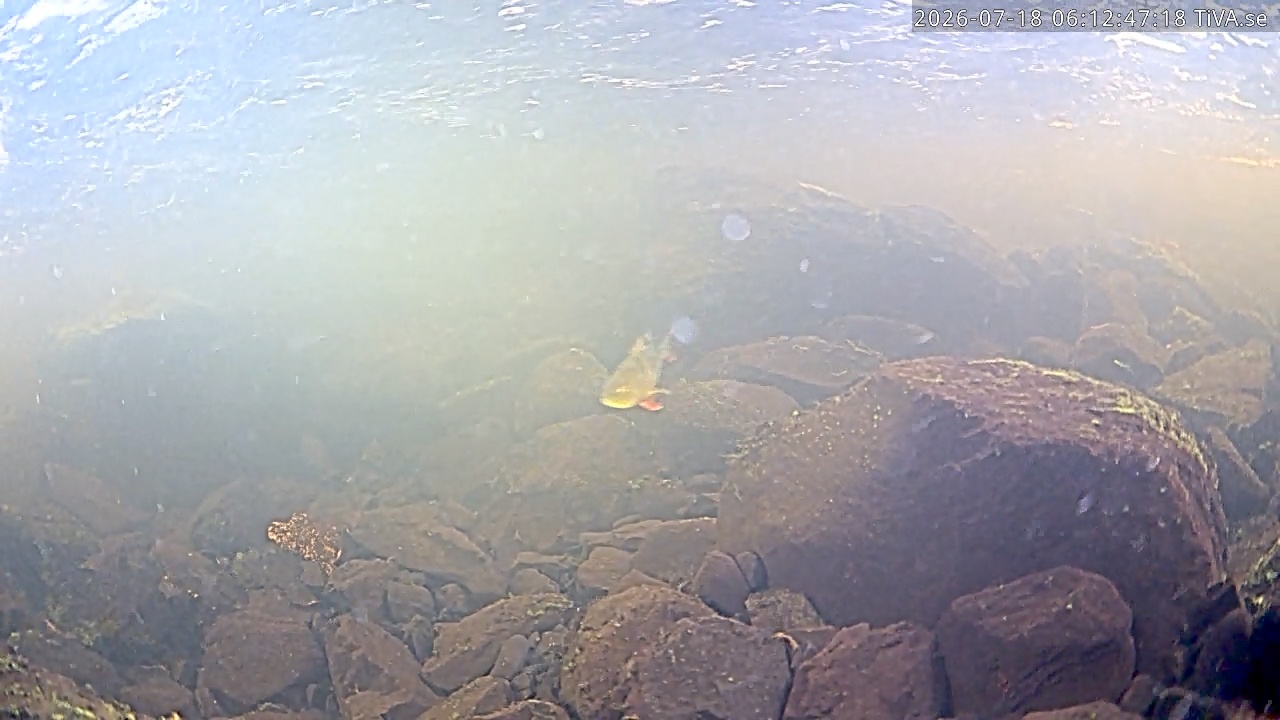 Video 2026-07-18 06:12