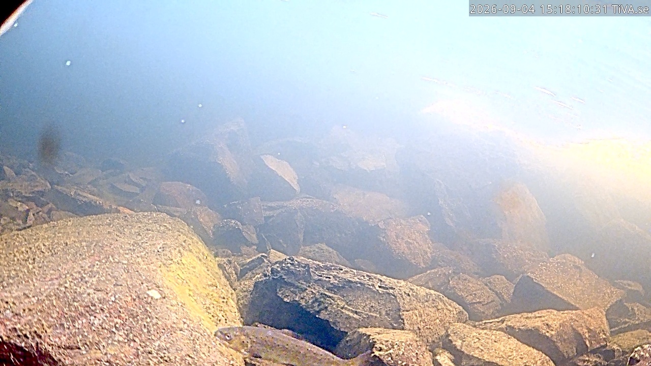 Video 2026-09-04 15:18