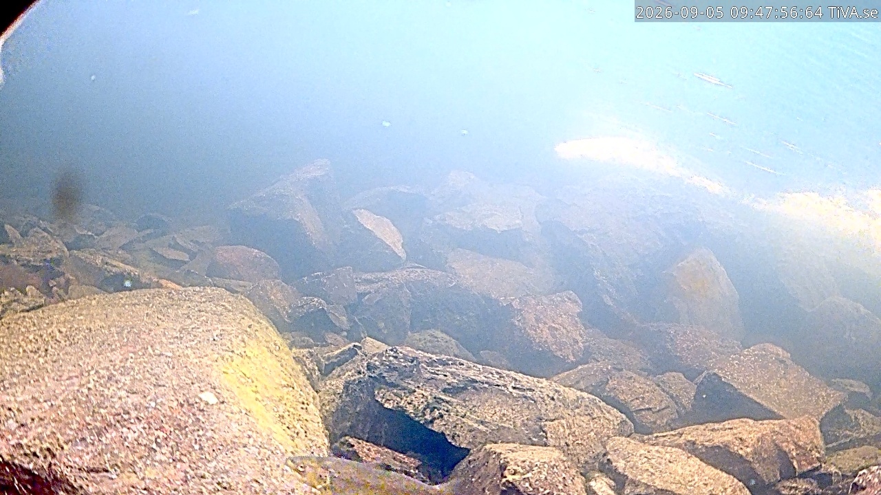 Video 2026-09-05 09:48