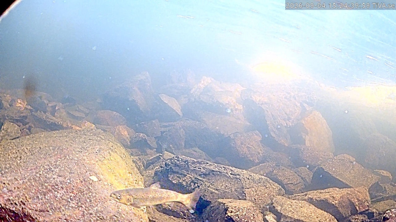 Video 2026-09-04 15:24