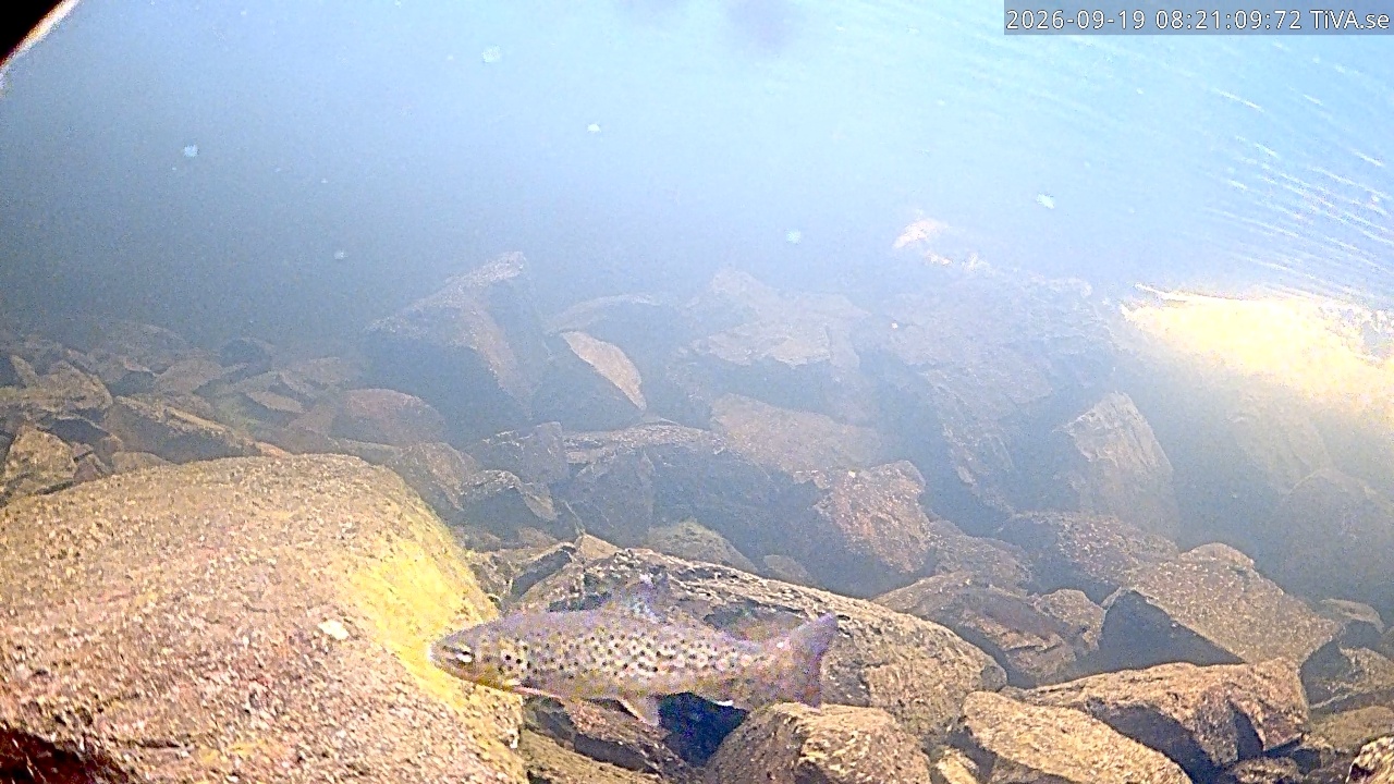 Video 2026-09-19 08:21