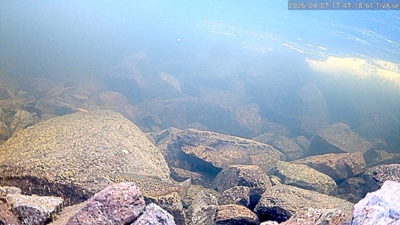 Video 2026-08-07 17:47