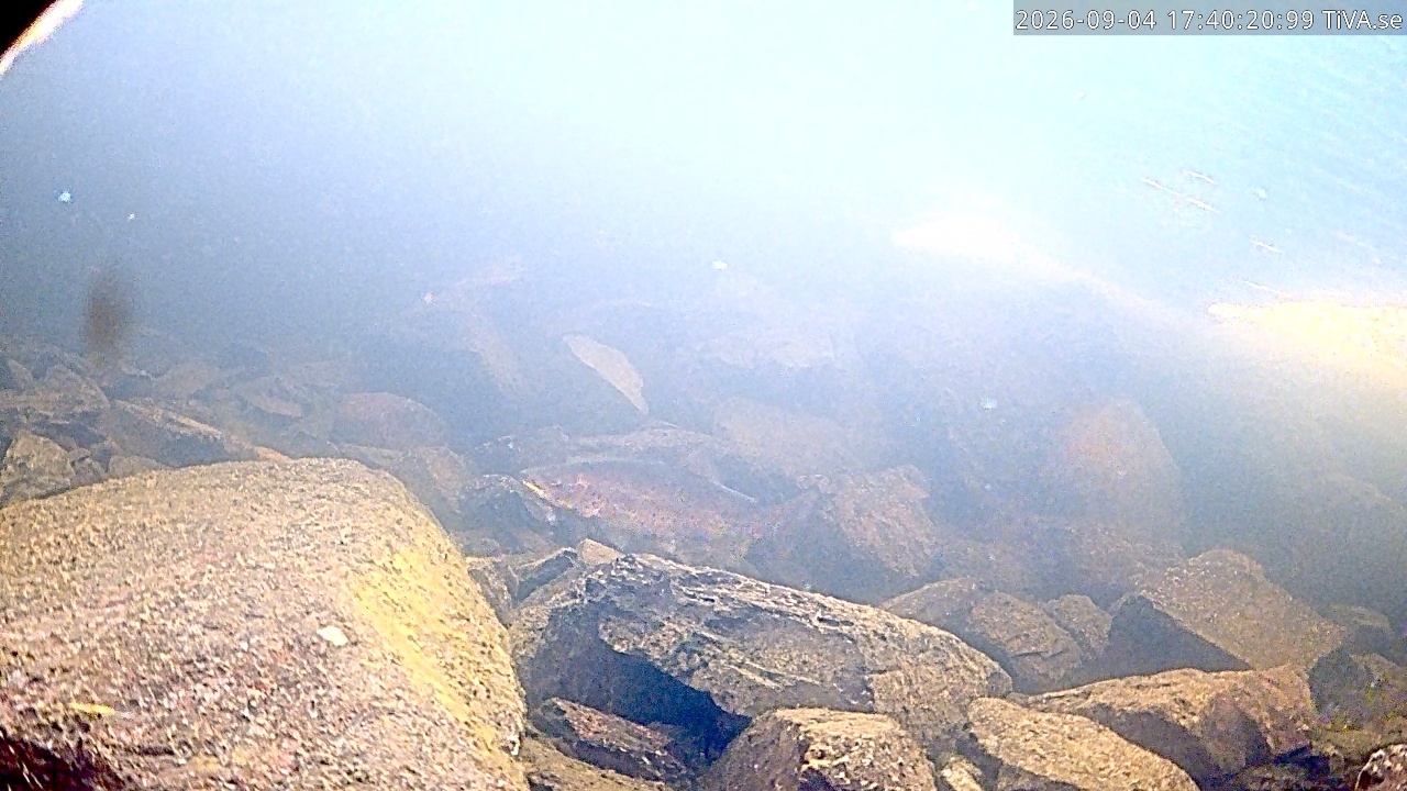Video 2026-09-04 17:40