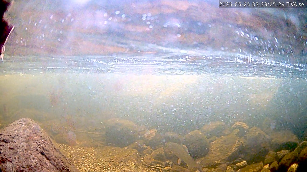 Video 2026-05-25 03:39