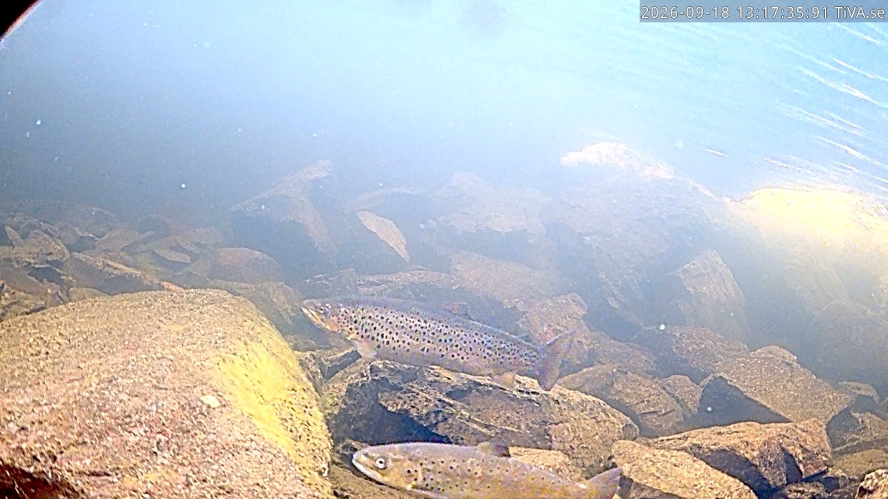 Video 2026-09-18 13:17