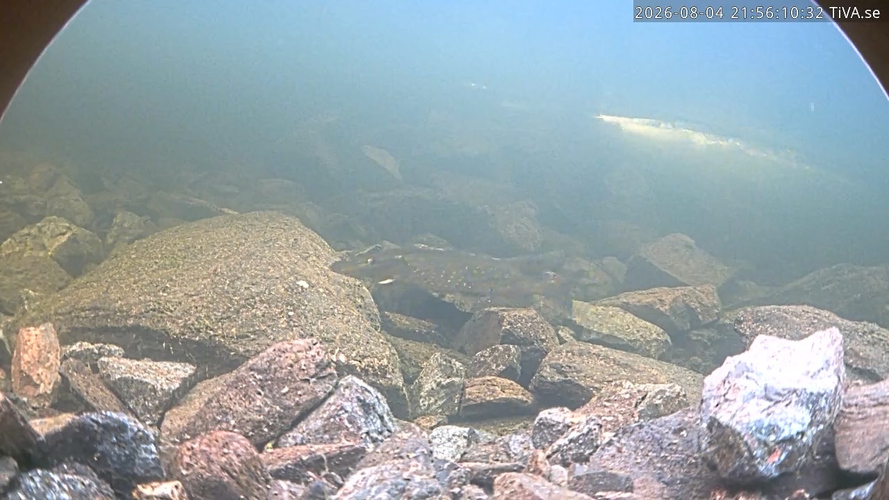 Video 2026-08-04 21:56