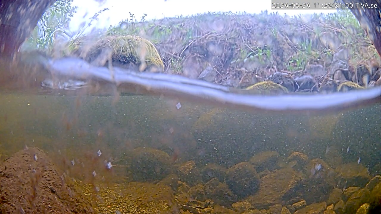 Video 2026-05-26 11:27