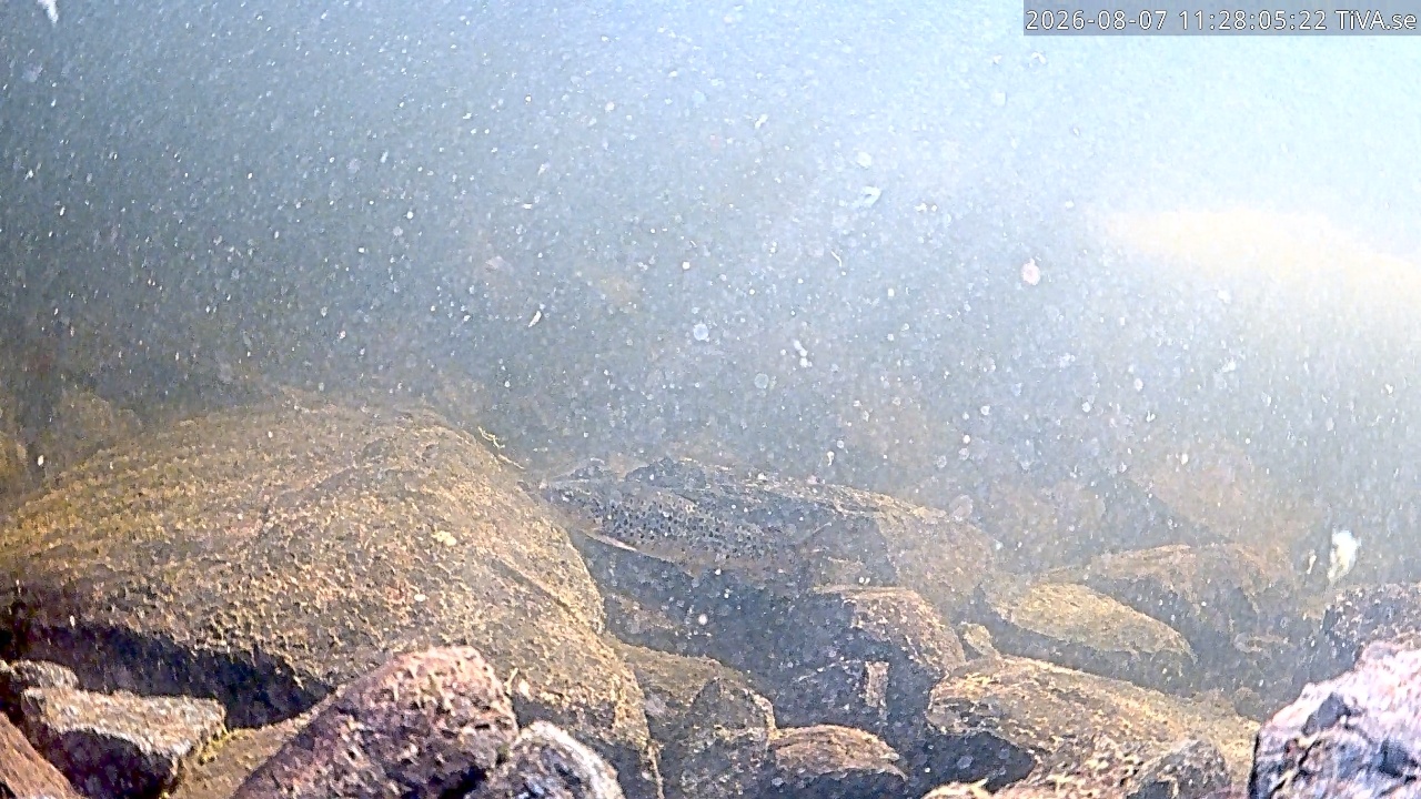 Video 2026-08-07 11:28