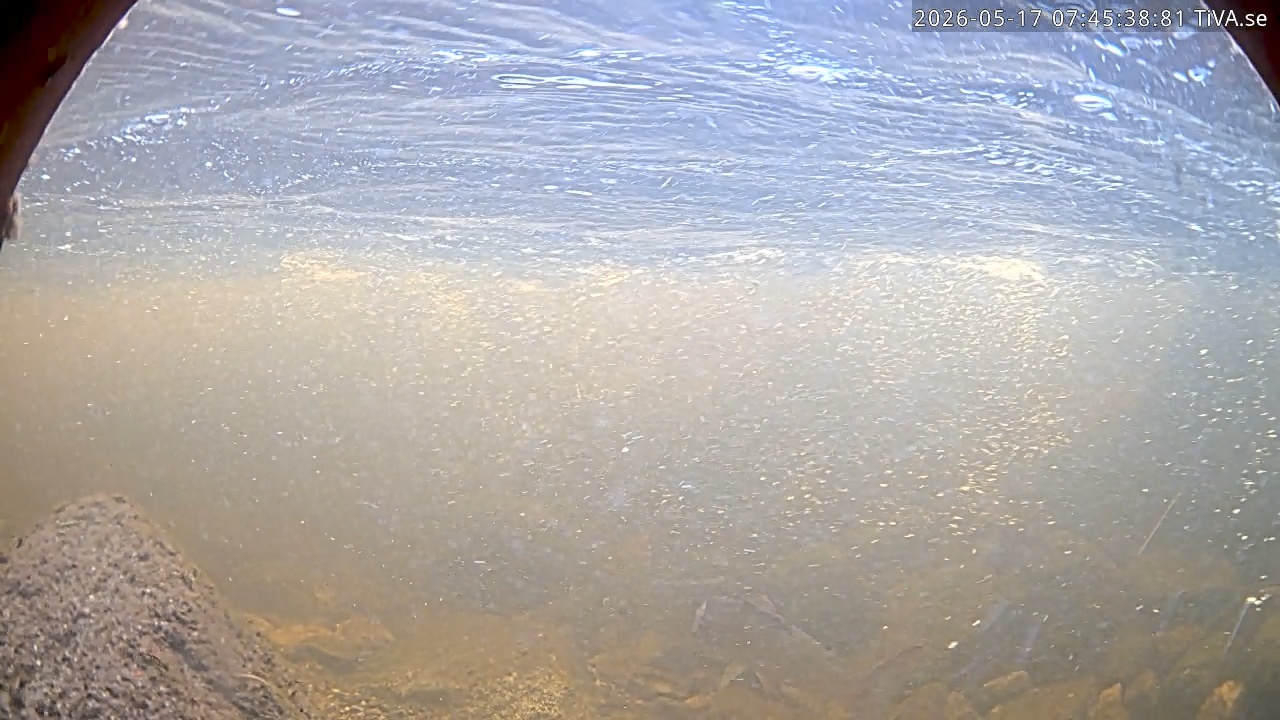 Video 2026-05-17 07:45