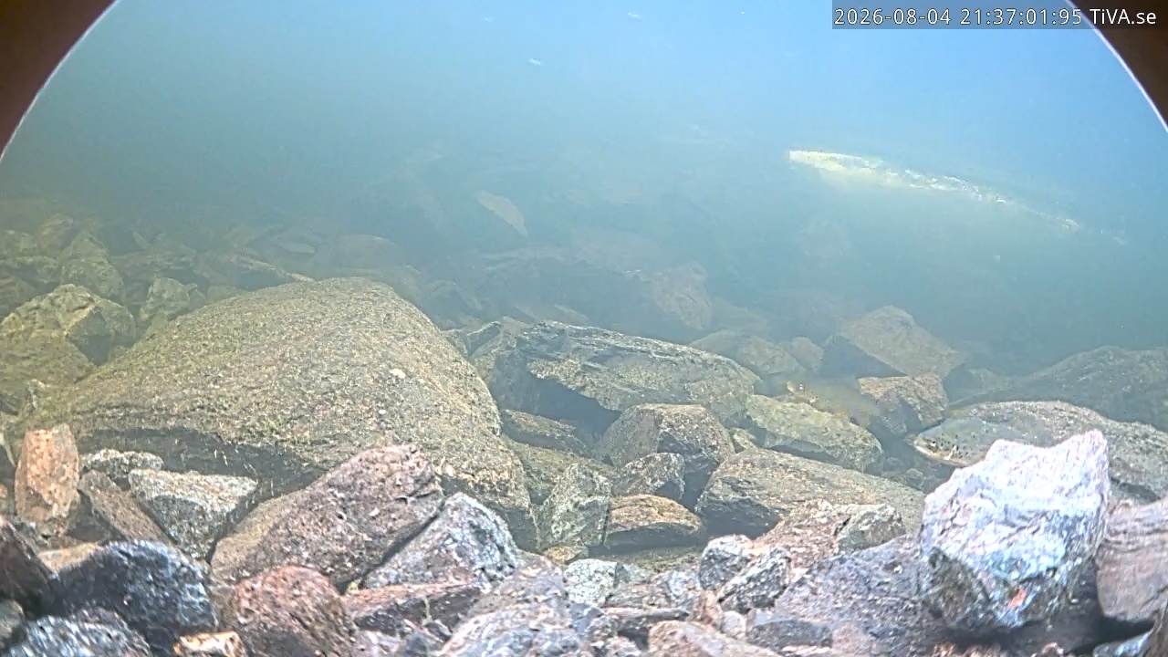 Video 2026-08-04 21:37