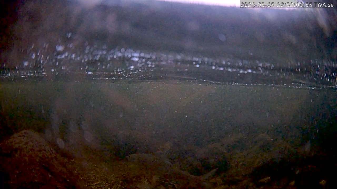 Video 2026-05-25 22:52
