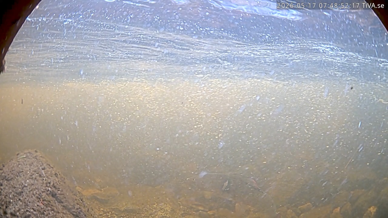 Video 2026-05-17 07:48