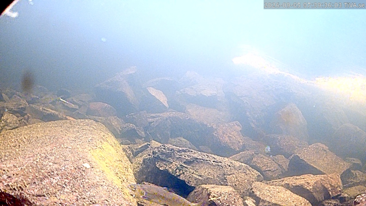 Video 2026-09-05 07:39