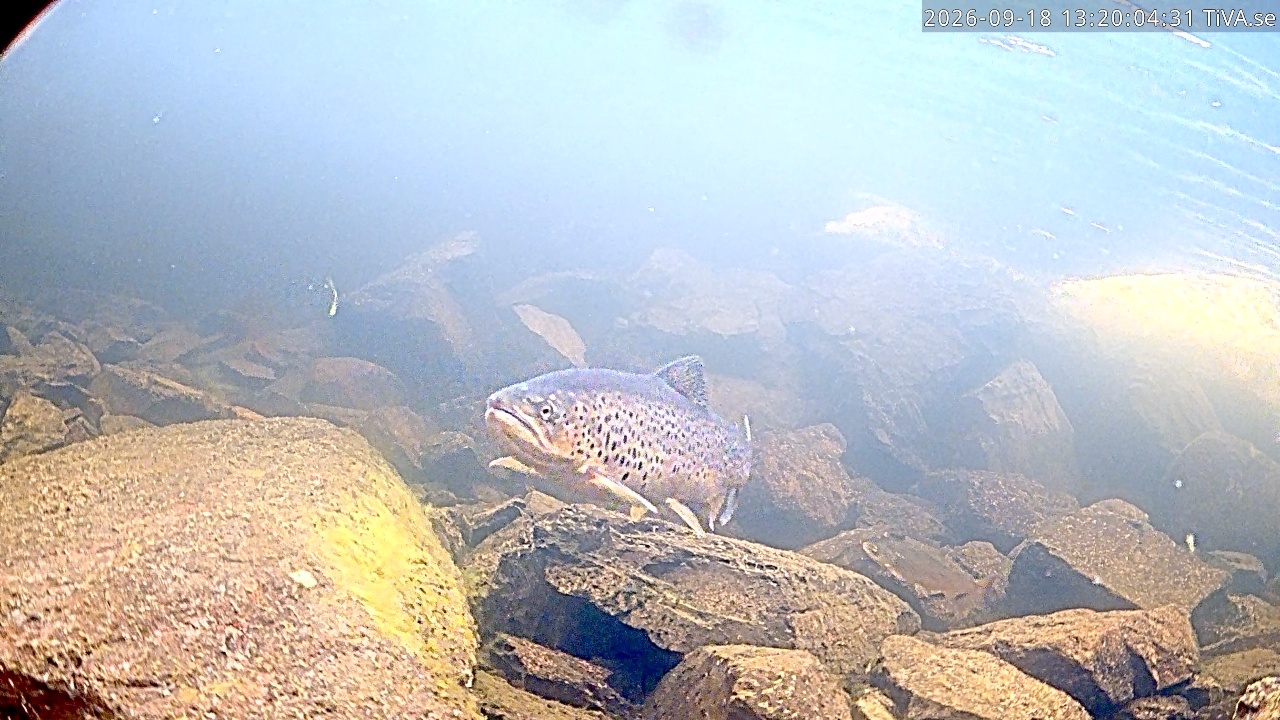 Video 2026-09-18 13:20
