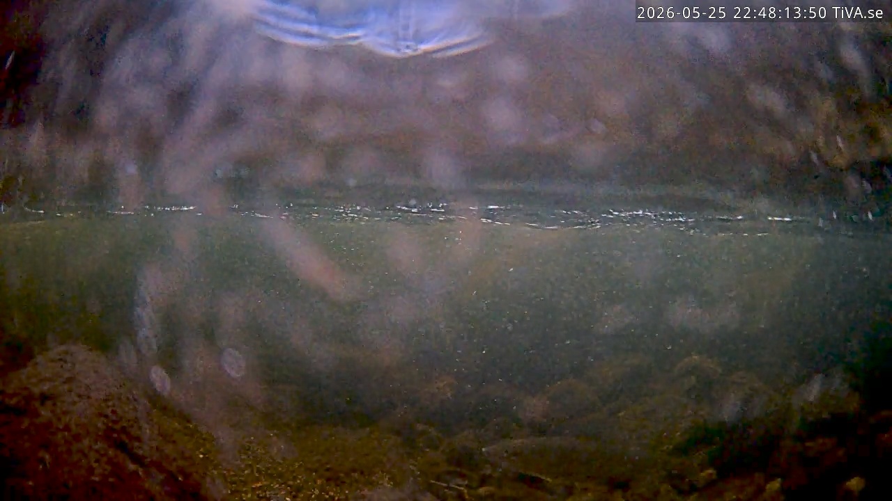 Video 2026-05-25 22:48