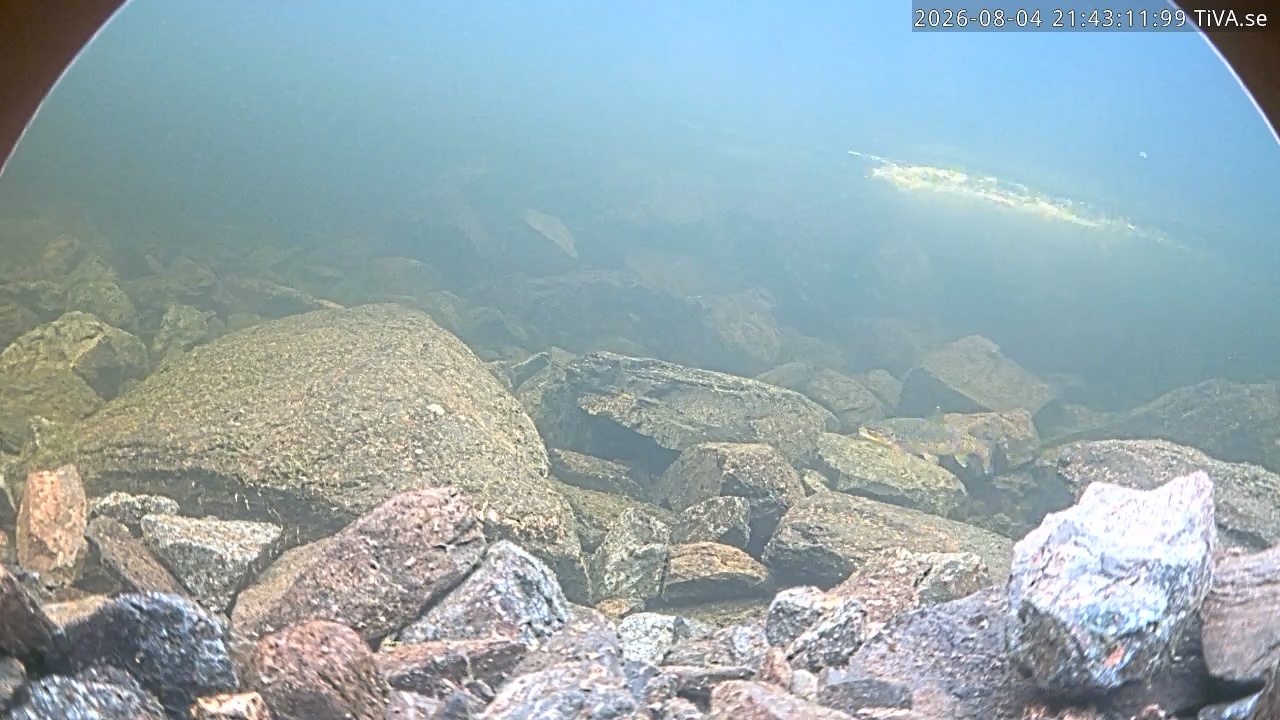 Video 2026-08-04 21:43