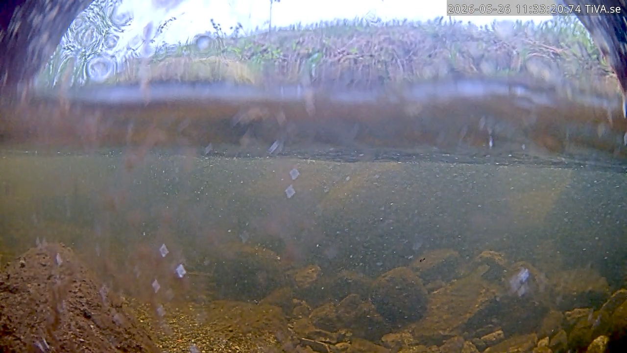 Video 2026-05-26 11:33