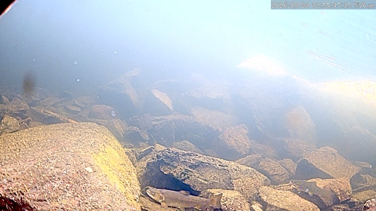 Video 2026-09-04 12:55