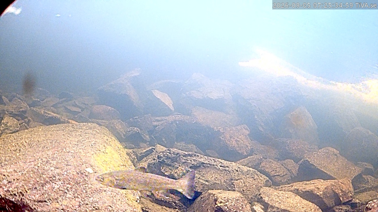 Video 2026-09-05 07:25