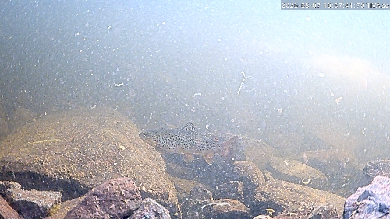 Video 2026-08-07 10:57