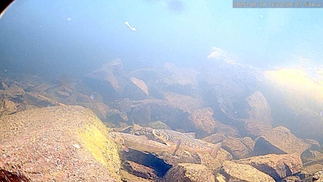 Video 2026-09-18 14:22