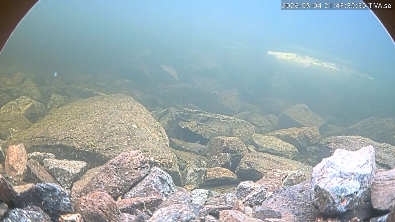 Video 2026-08-04 21:49