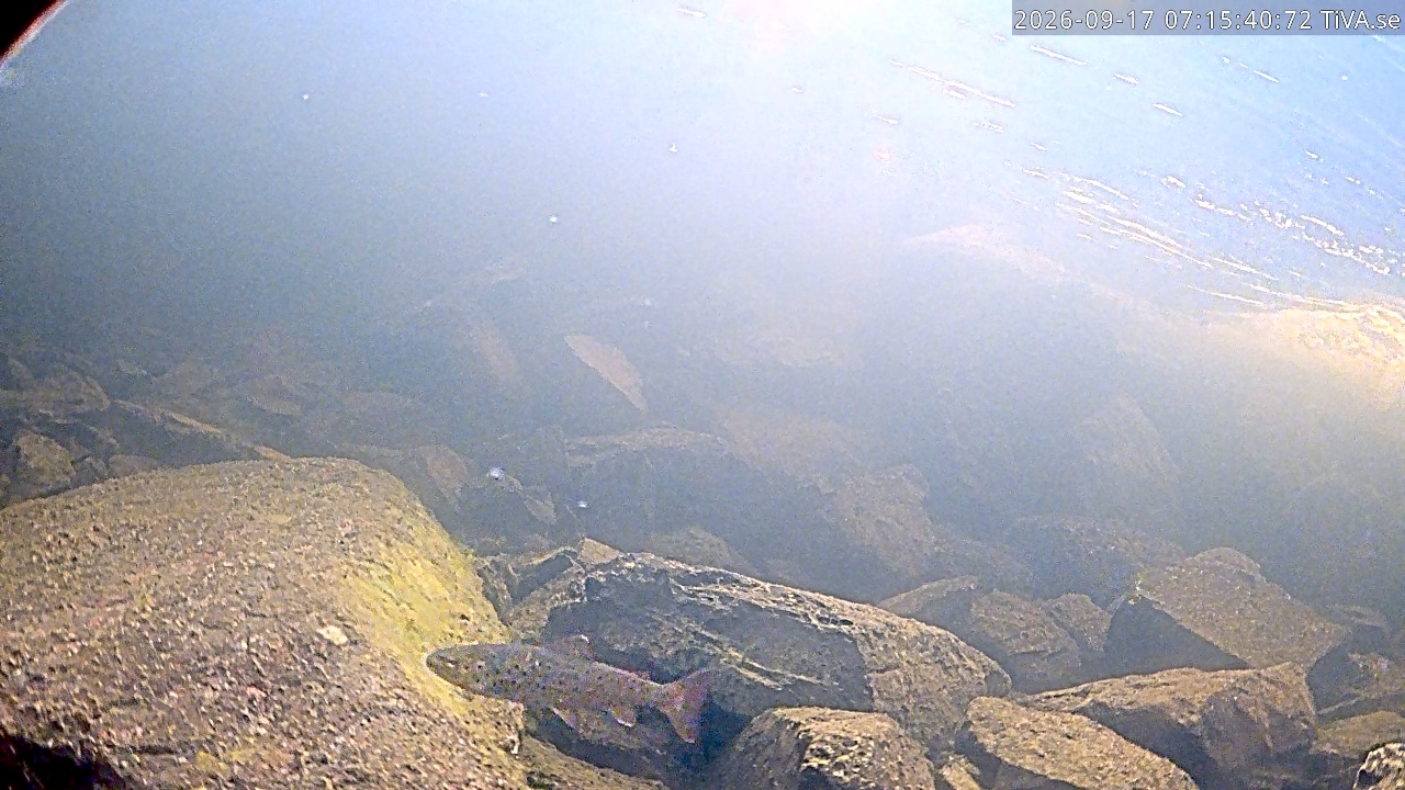 Video 2026-09-17 07:15