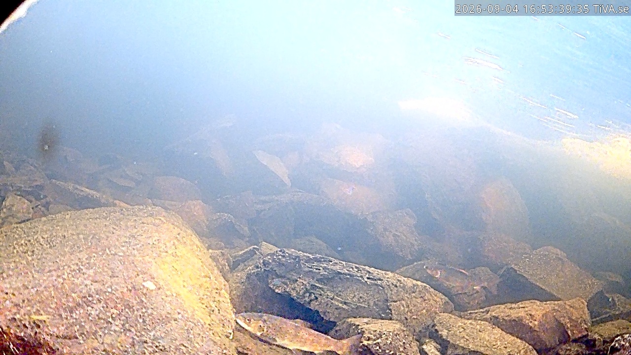 Video 2026-09-04 16:54