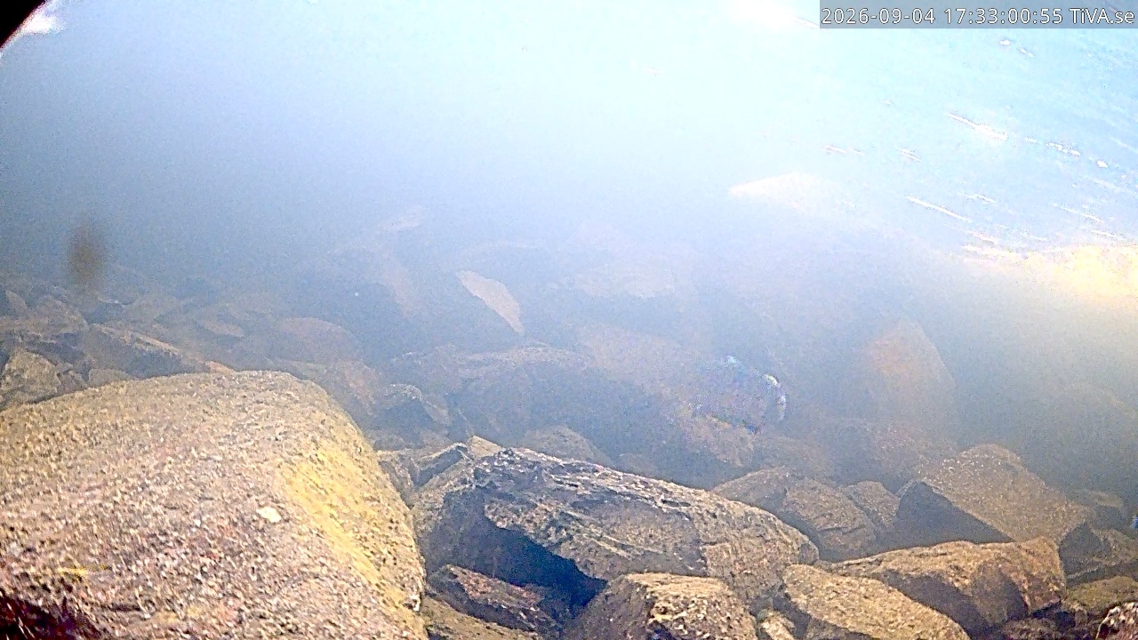 Video 2026-09-04 17:33