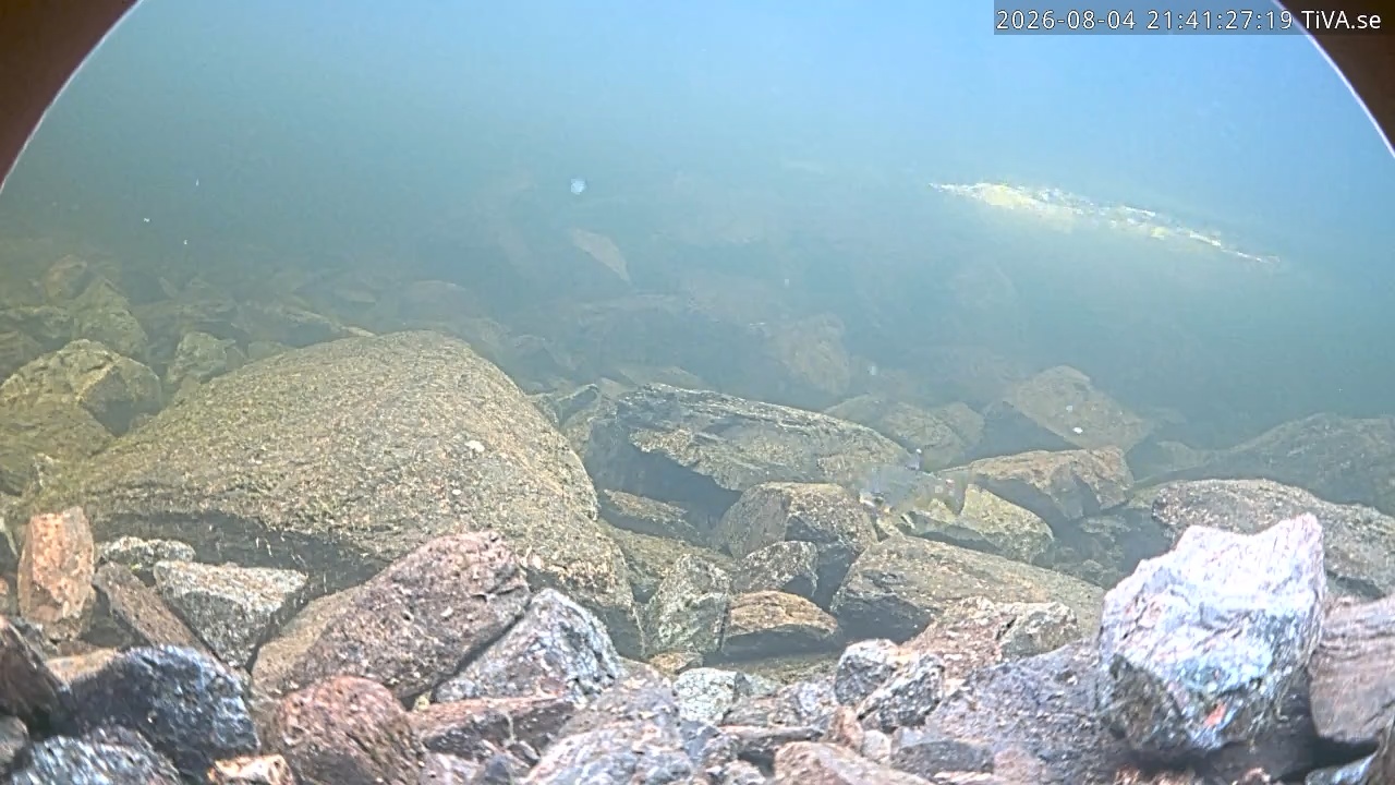 Video 2026-08-04 21:41