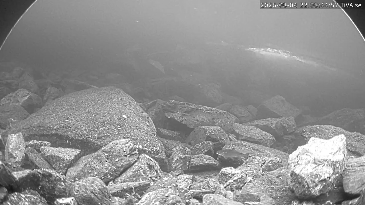 Video 2026-08-04 22:08