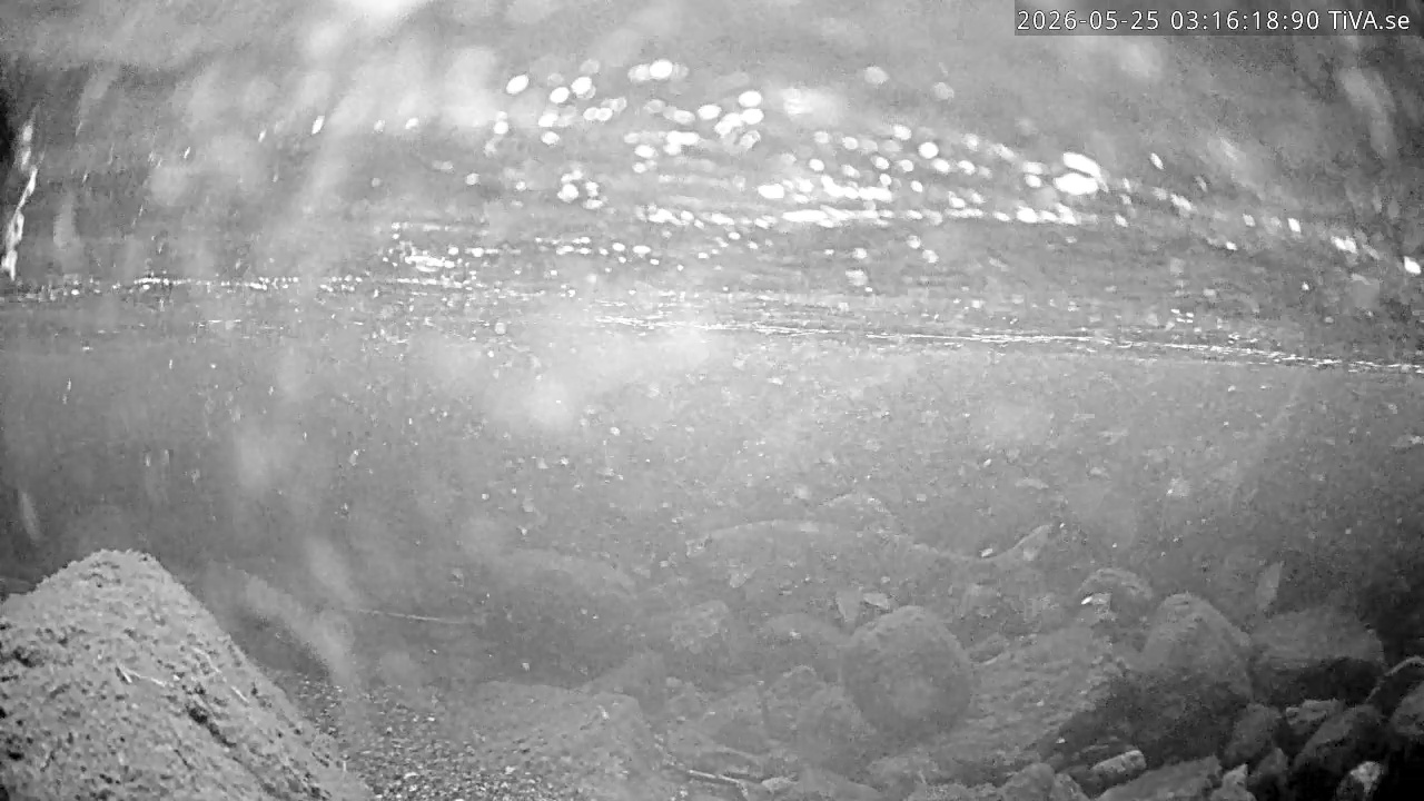 Video 2026-05-25 03:16