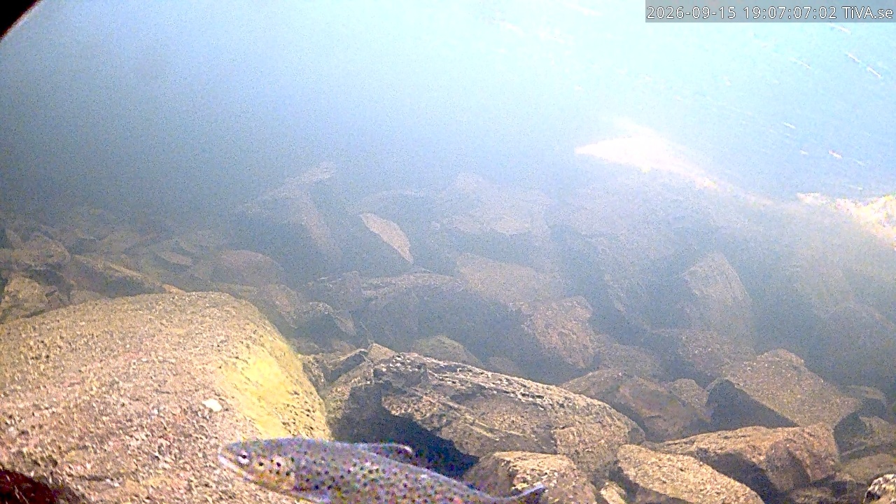 Video 2026-09-15 19:07