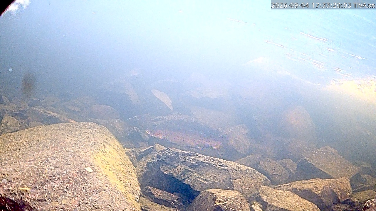 Video 2026-09-04 17:33