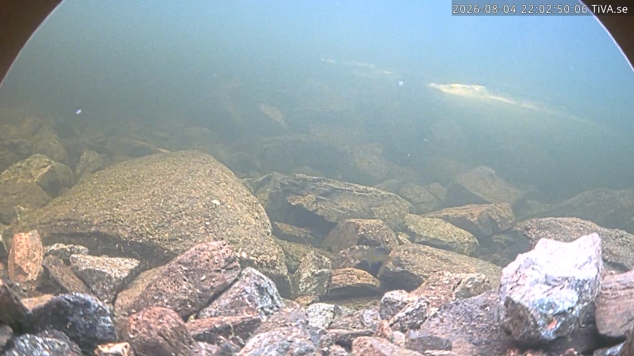 Video 2026-08-04 22:05