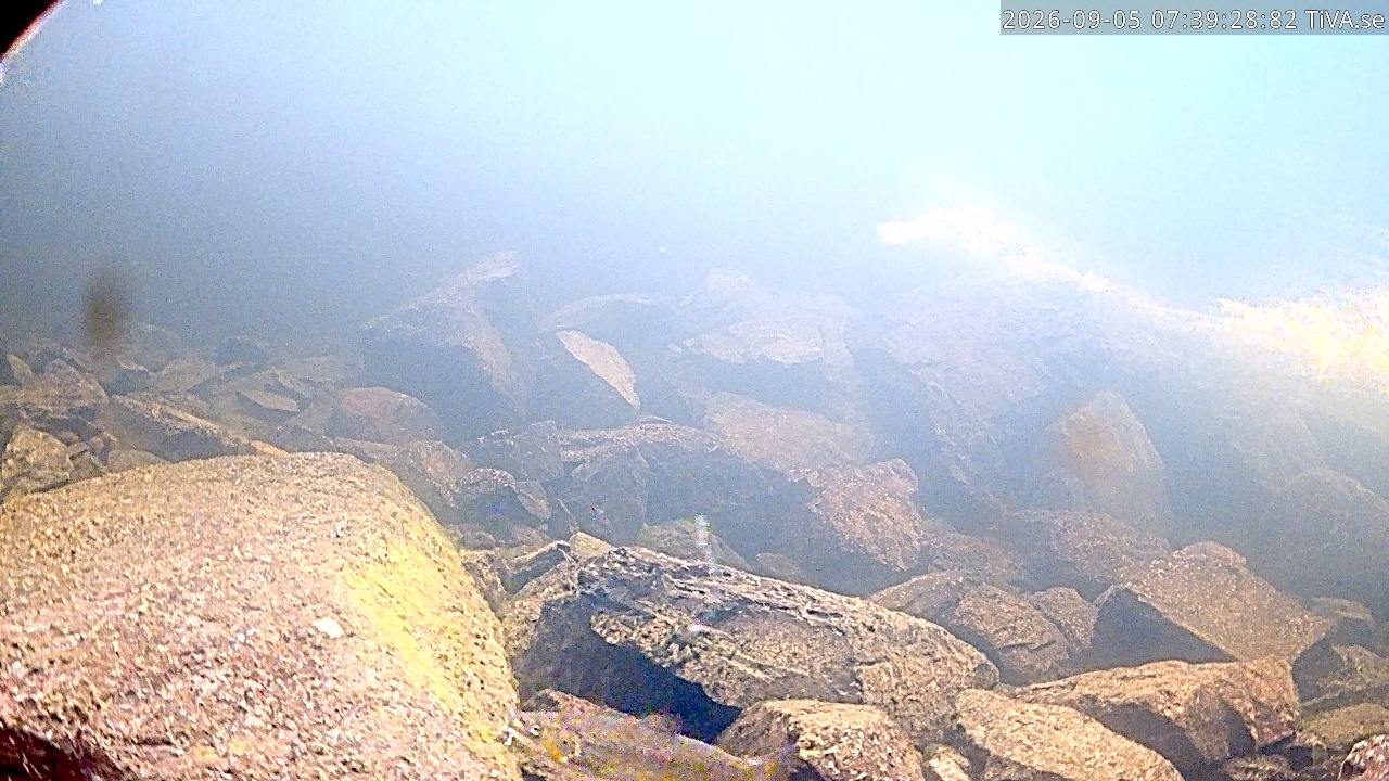 Video 2026-09-05 07:39