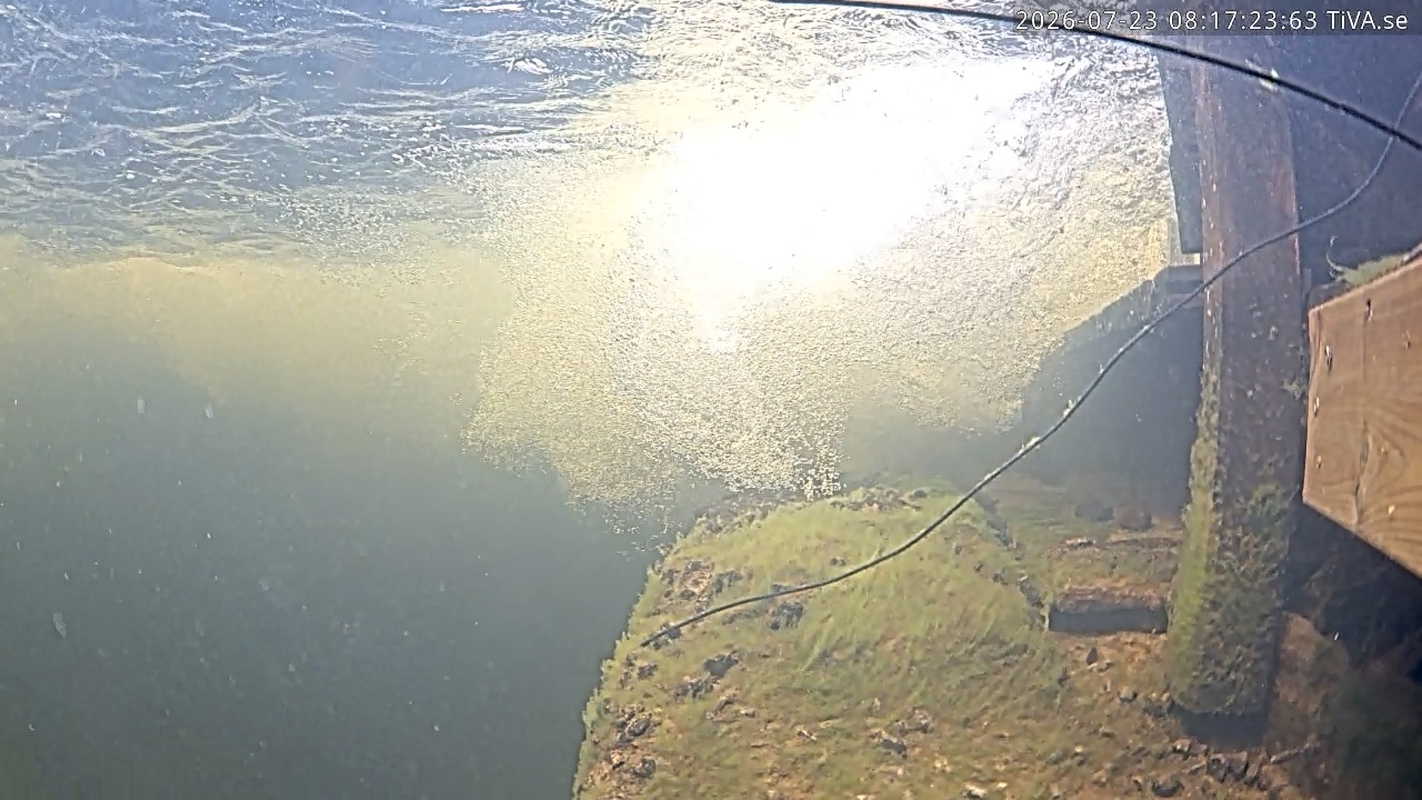 Video 2026-07-23 08:17