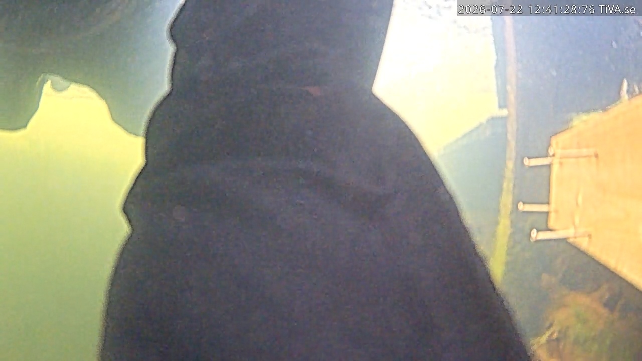 Video 2026-07-22 12:41
