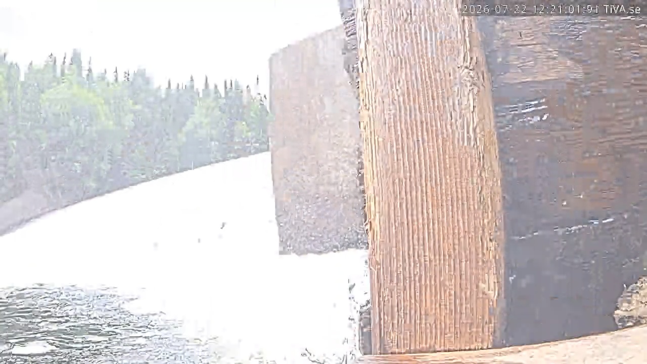 Video 2026-07-22 12:21