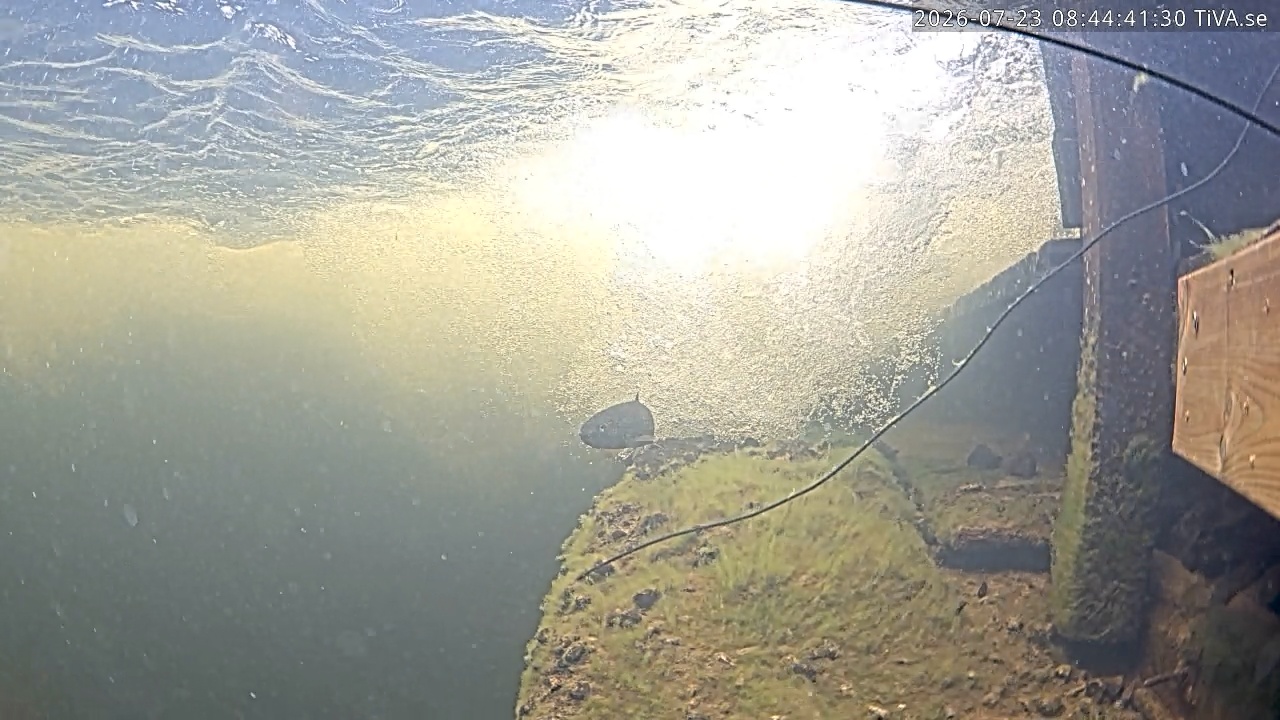 Video 2026-07-23 08:44