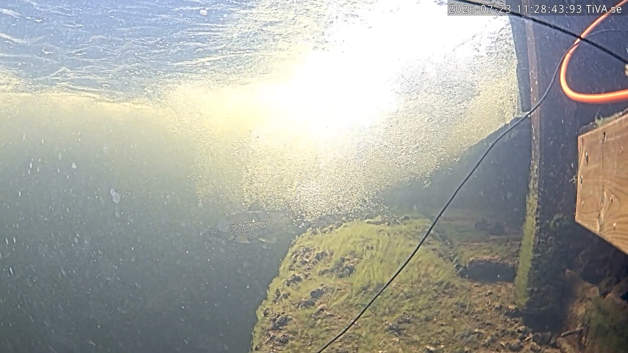 Video 2026-07-23 11:28